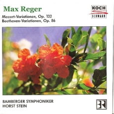 Reger - Mozart-Variationen, Beethoven-Variationen (Stein)