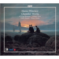 Hans Pfitzner - Chamber Works