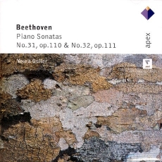 Beethoven - Piano Sonatas No. 31, op. 110 & No. 32, op. 111 (Youra Guller)