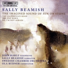 Beamish - The Imagined Sound of Sun on Stone - Ola Rudner