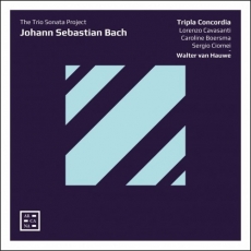 Bach - The Trio Sonata Project - Tripla Concordia