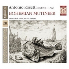 Rosetti - Bohemian Mutineer - Pratum Integrum Orchestra