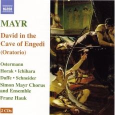 Mayr - David in spelunca Engaddi - Franz Hauk