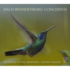 Bach - Brandenburg Concertos - Antony Walker
