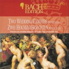 Two Wedding Cantatas: Weichet nur, betrübte Schatten, BWV 202; O holder Tag, erwünschte Zeit, BWV 210