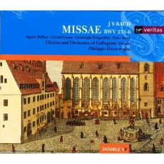 Bach - Masses, BWV 233-236 - Philippe Herreweghe