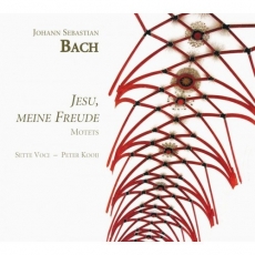 Bach - Jesu, meine Freude - Peter Kooij