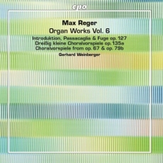 Reger - Organ Works Vol.6 - Gerhard Weinberger